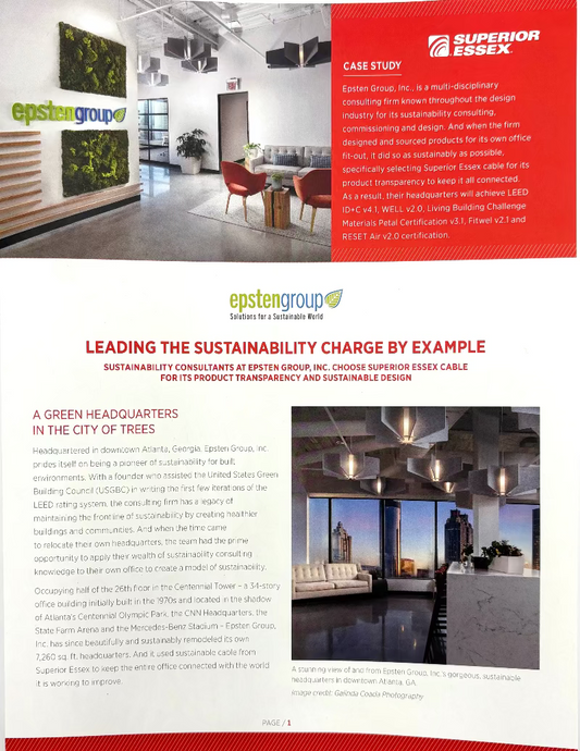 Case Study- Epsten Group